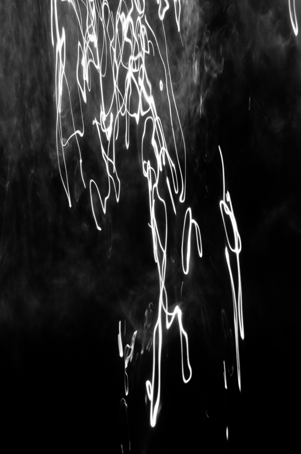 Artist: Mark D. Whitney, Media: Digital Photograph